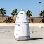 bet bots